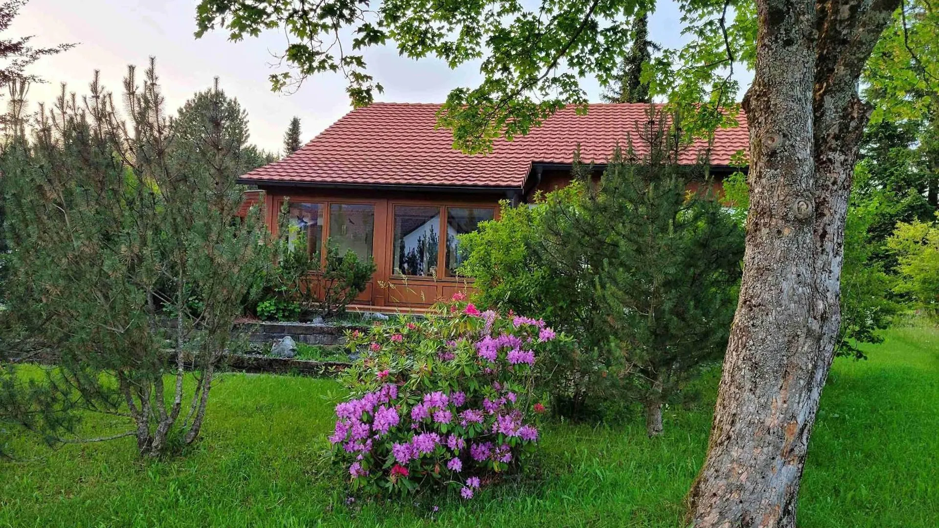 Ferienhaus Rehpfad Im Feriendorf Reichenbach 20 Nesselwang